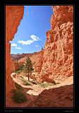 Bryce Canyon 45
